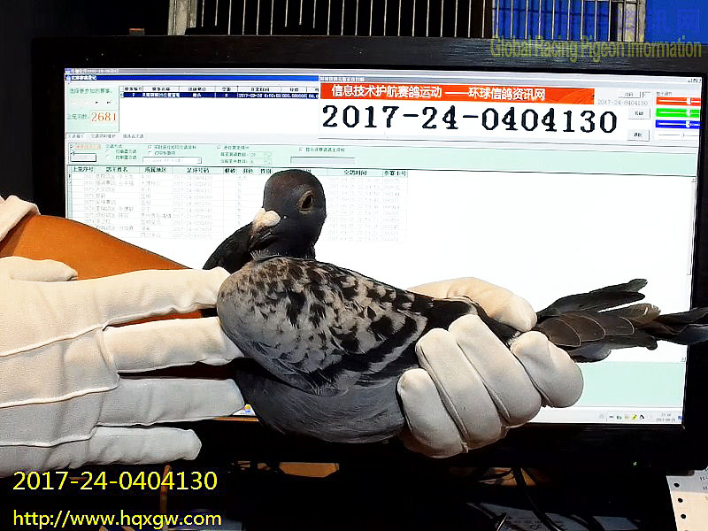 2017-24-0404130 
