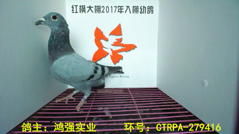 CTRPA-279416 