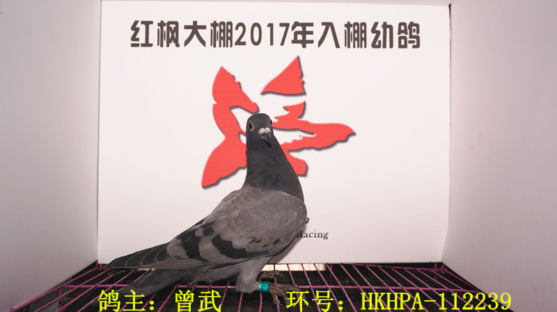HKHPA-112239 