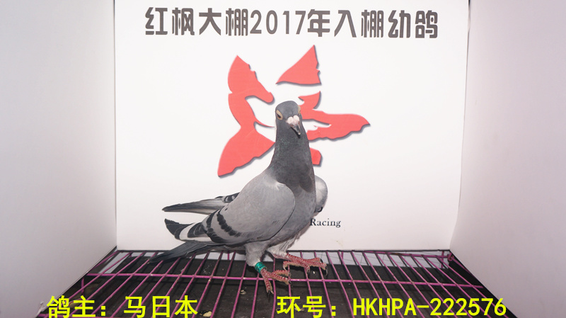 HKHPA-222576 