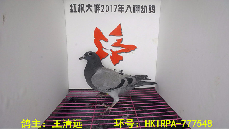 HKIRPA-777548 