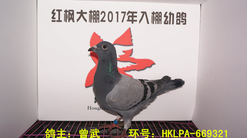 HKLPA-669321 