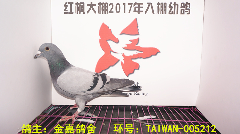 TAIWAN-005212 