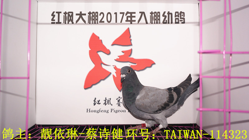 TAIWAN-114323 